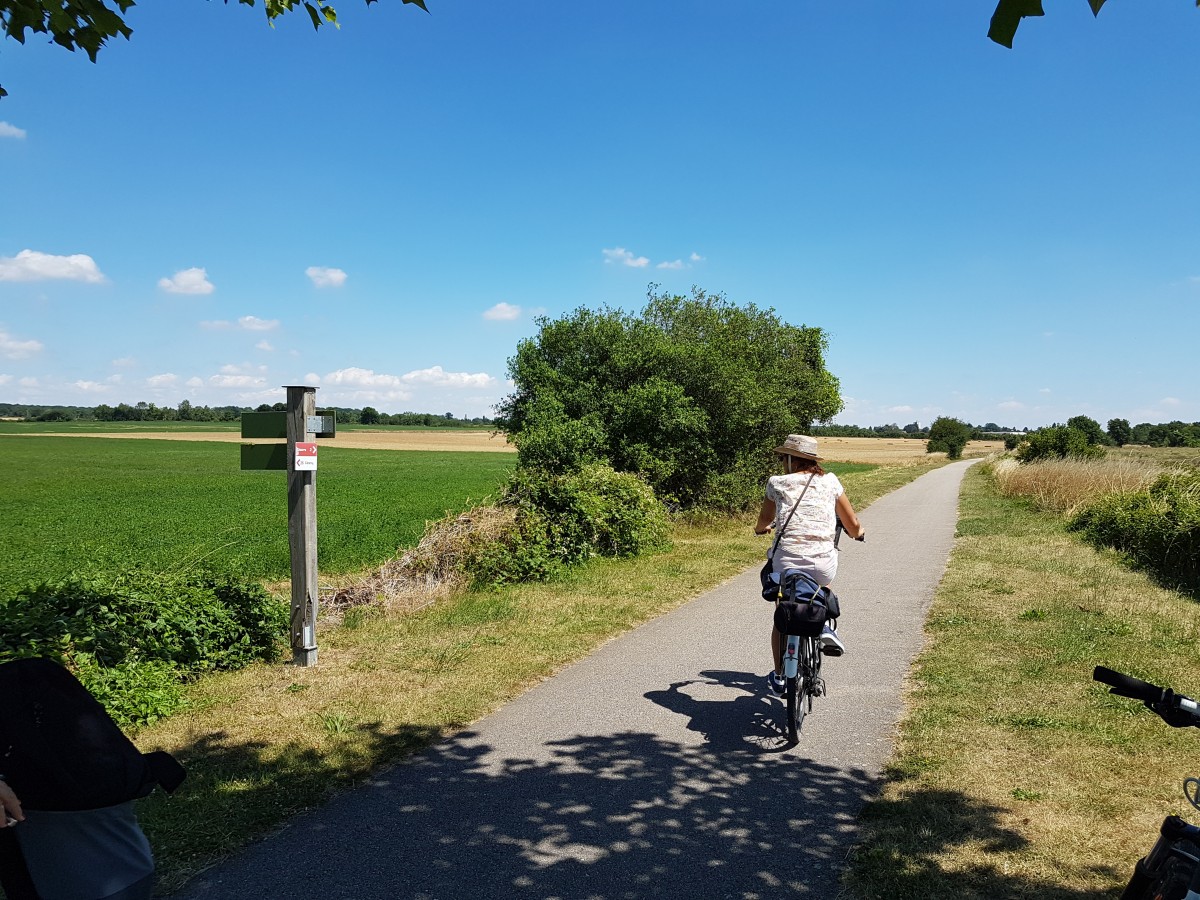 Sortie vlo Bray-et-Lu / Gisors