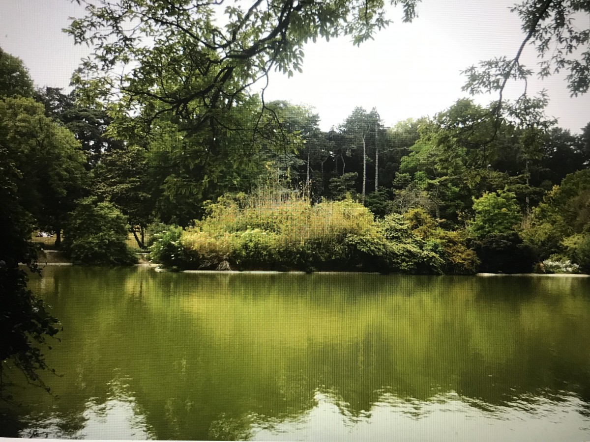 Balade Lac Daumesnil