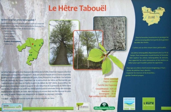 Forêt domaniale de Bord-Louviers - parcours