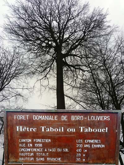 Forêt domaniale de Bord-Louviers - parcours 