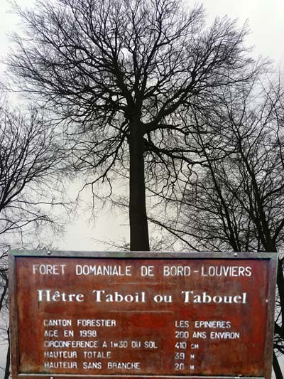 Fort domaniale de Bord-Louviers - parcours 