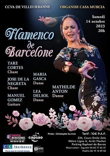 Flamenco de Barcelone