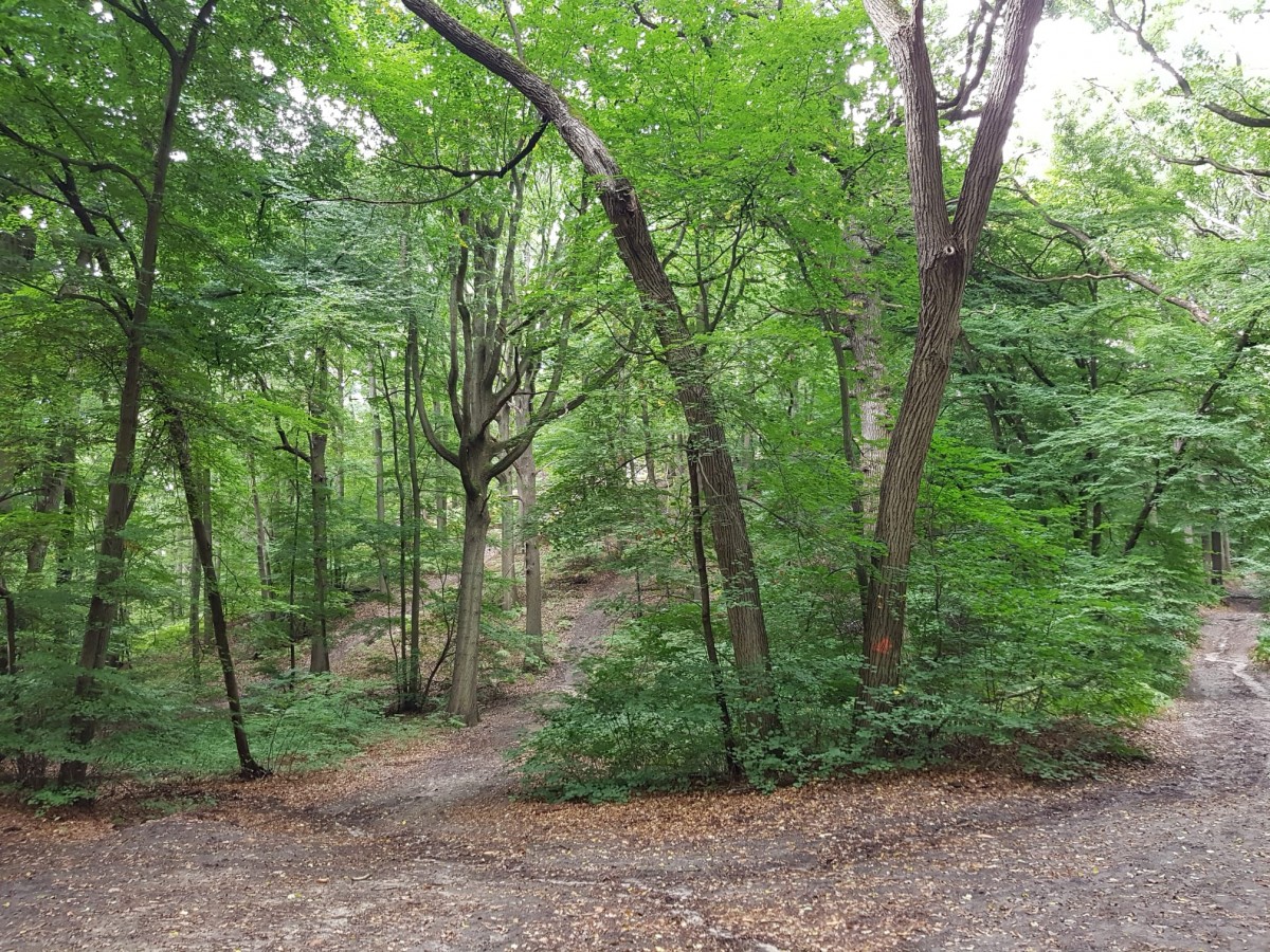 Marche 9 km fort et tangs
