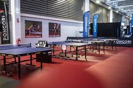 Tennis de table (Ping Pong)