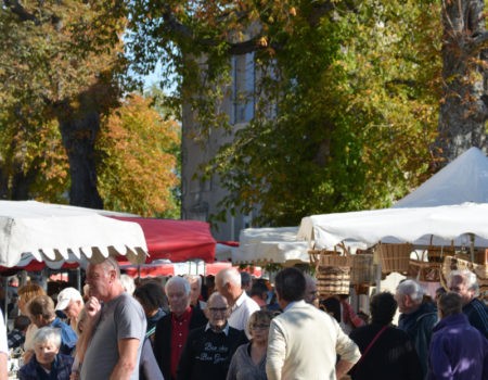 Fête du champignon