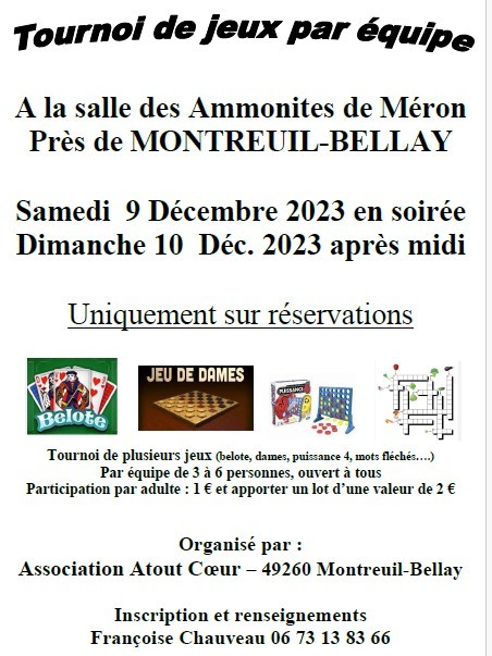 tournoi de jeux par équipe à Montreuil Bellay