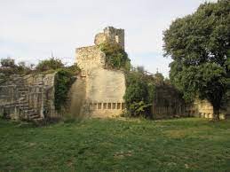 Les ruchiers de MONTFRIN