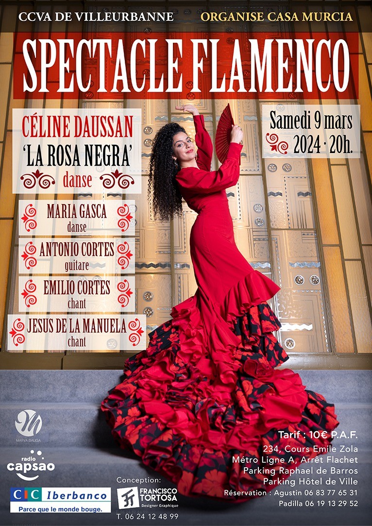 Flamenco au CCVA