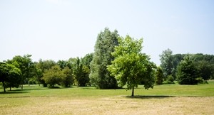 La voie verte du Vaudreuil à Léry
