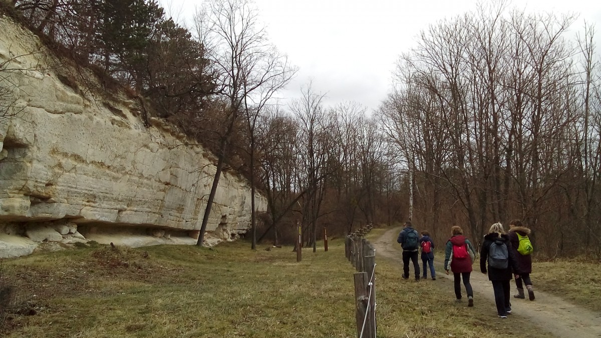 Rando 10 km en fort de l'Isle-Adam