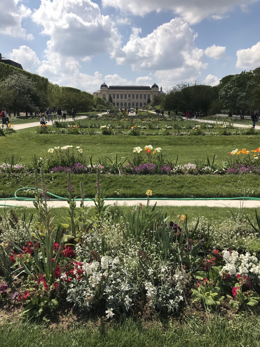 Promenade au Jardin des Plantes avec th  la Grande Mosque