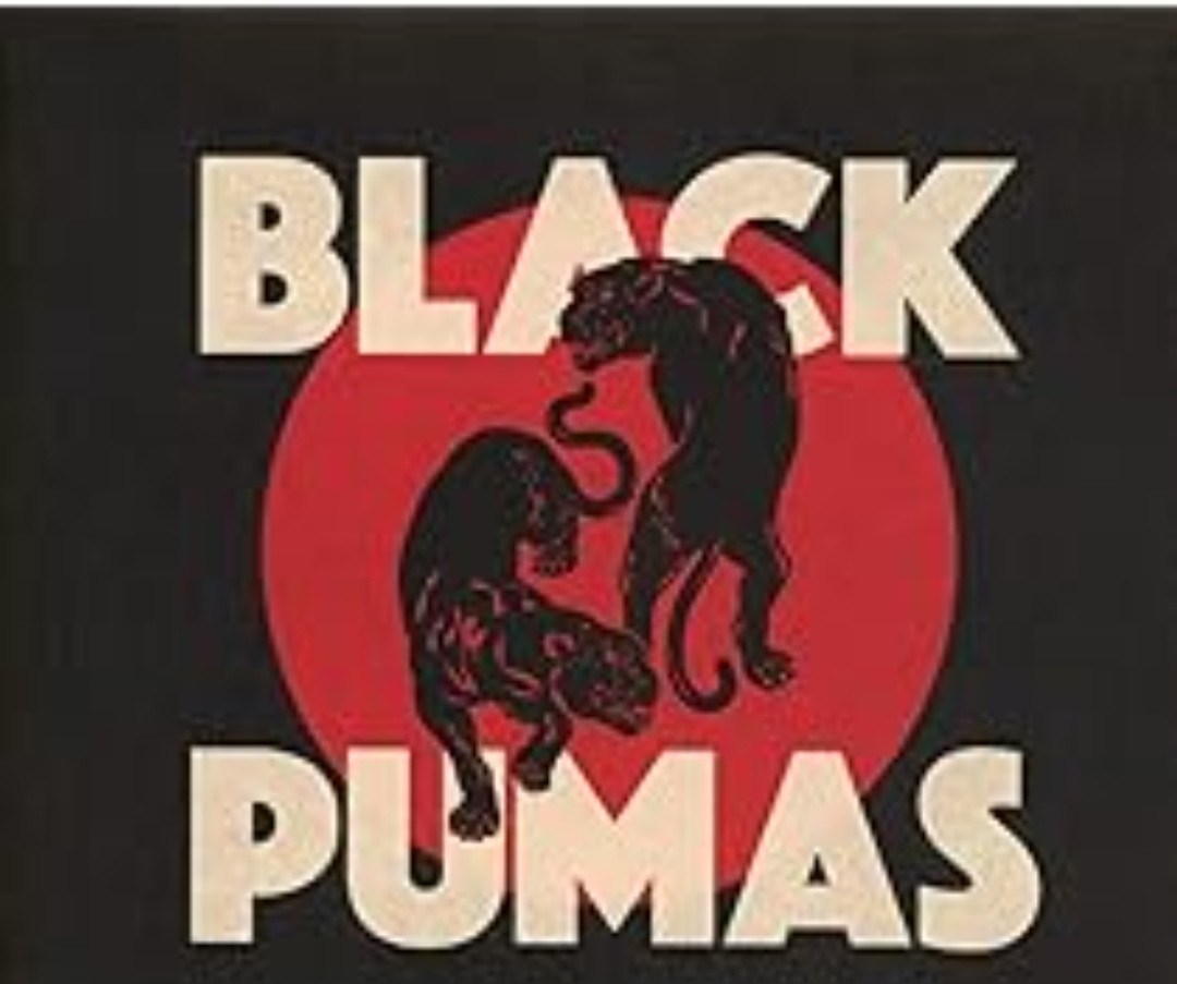 Concert des Black Pumas