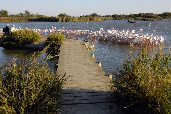 Pique-nique et balade au parc Ornithologique du Pont de Gau