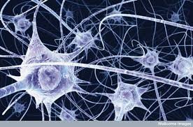 Neurones party
