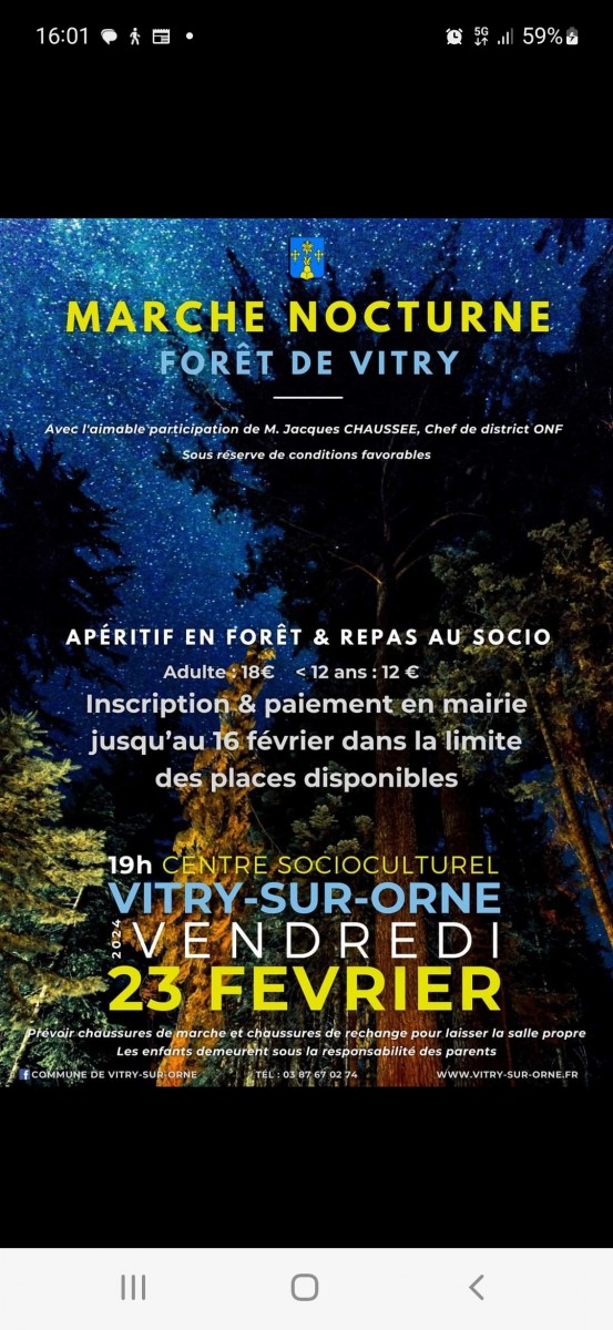 Balade nocturne en forêt