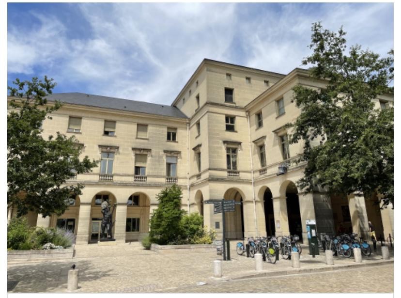 Visite du musée des beaux-arts Orléans