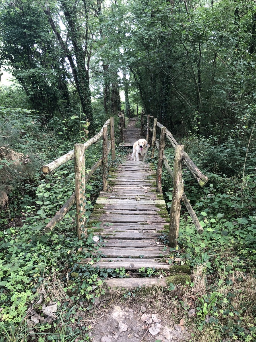 Découverte des sentiers de Monnières