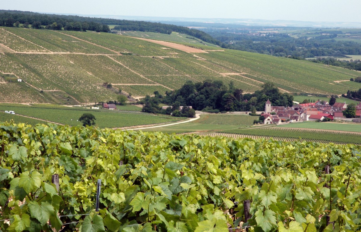 Visite et rando Noyers sur Serein et Chablis