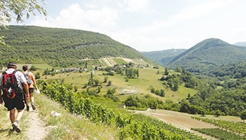 Balade gourmande en Bugey