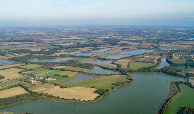Journée dans la Dombes