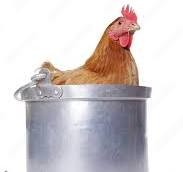 Poule au pot