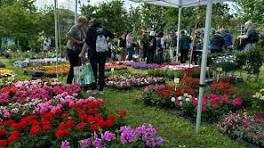 Fête des plantes de printemps