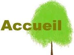 Découverte de l'AFS : Solos, vous avez dit Solo?