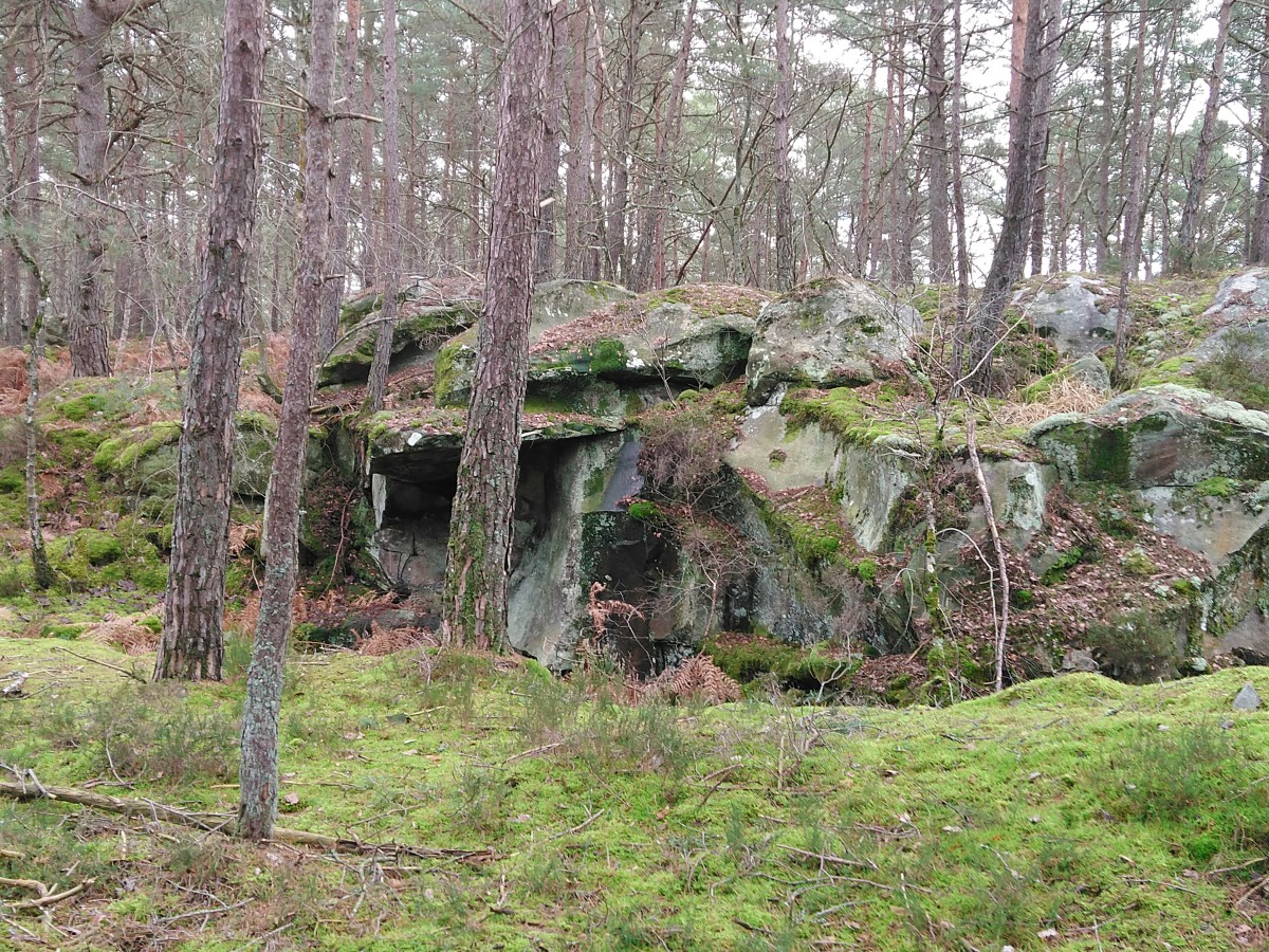 RANDO FONTAINEBLEAU