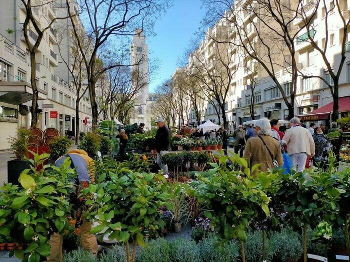 Marché aux plantes