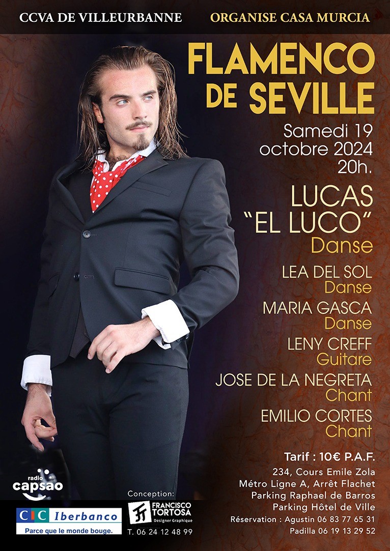 Flamenco de Sville  au CCVA