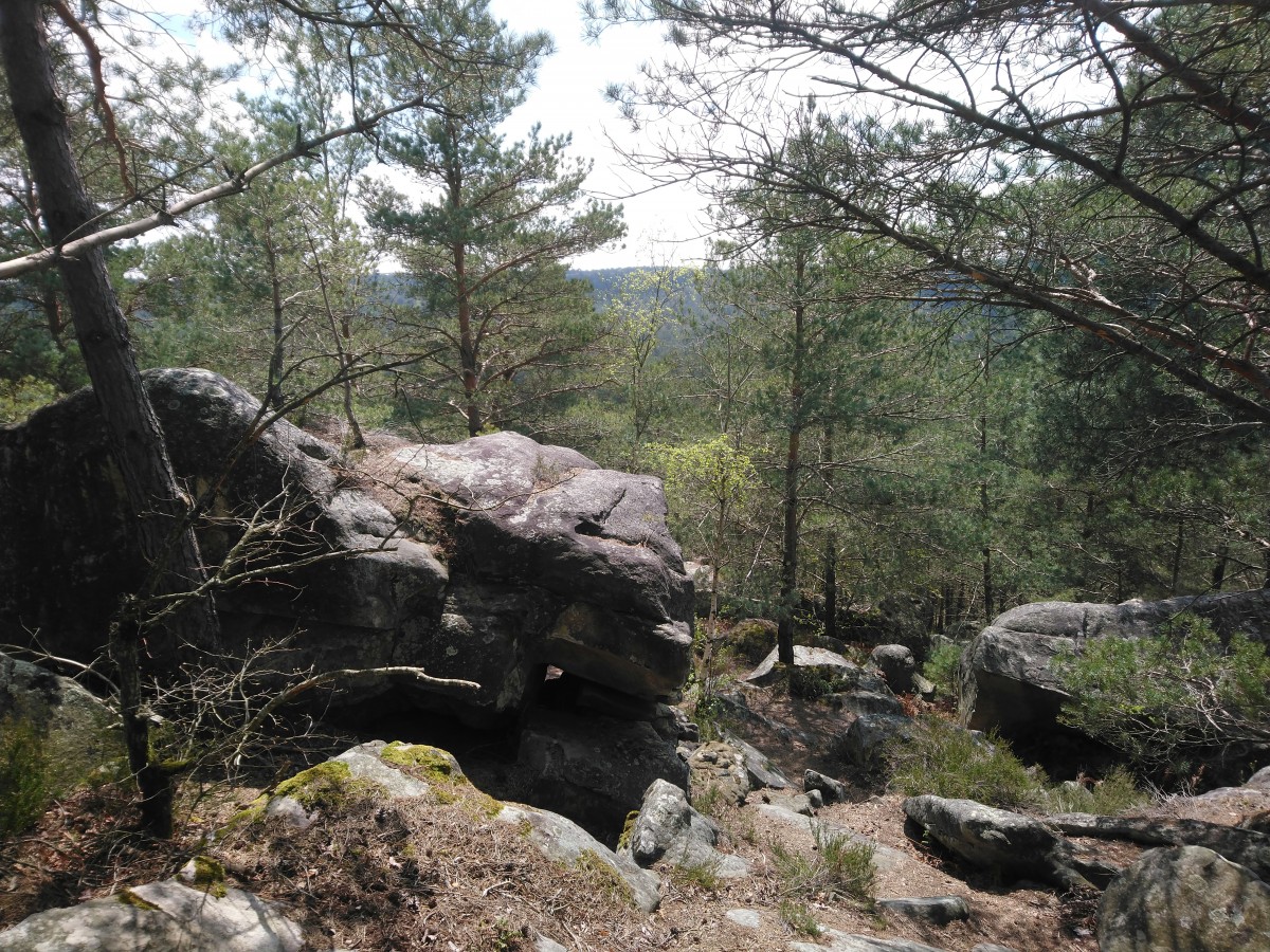 RANDO FORET DE FONTAINEBLEAU