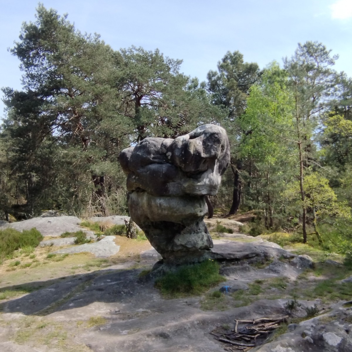 RANDO FORET DE FONTAINEBLEAU