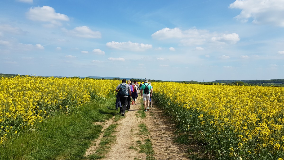 Rando 8 km ou 15 km autour de Génicourt