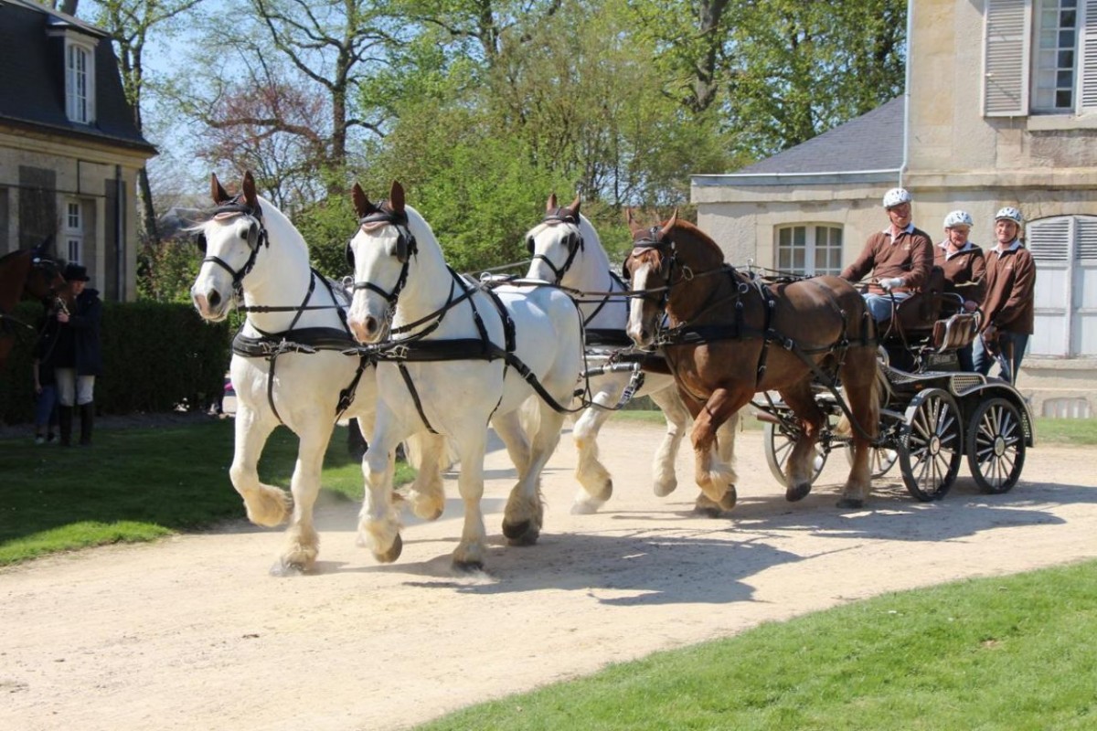 Concours d'Attelage de Tradition