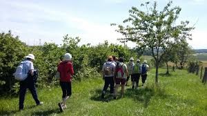 Balade solidaire St Denis de Gastines