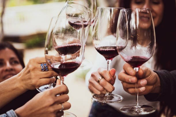 Dgustation-dcouverte commente de vins de Bourgogne