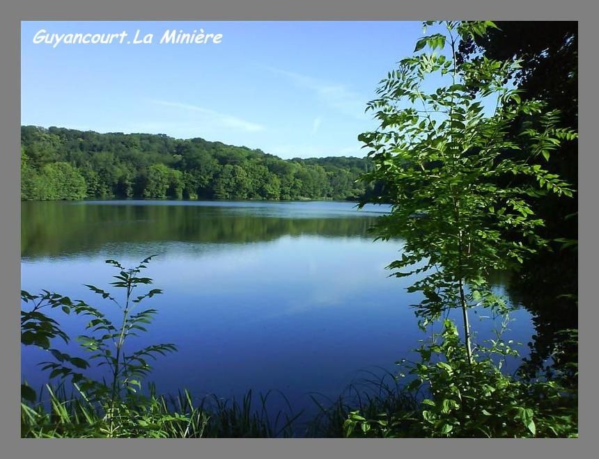 Rando des Etangs de la Bivre - Pique-nique