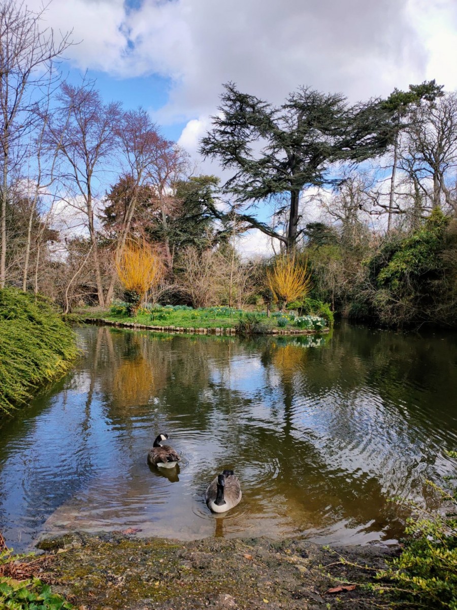 Rando cool bois de Boulogne