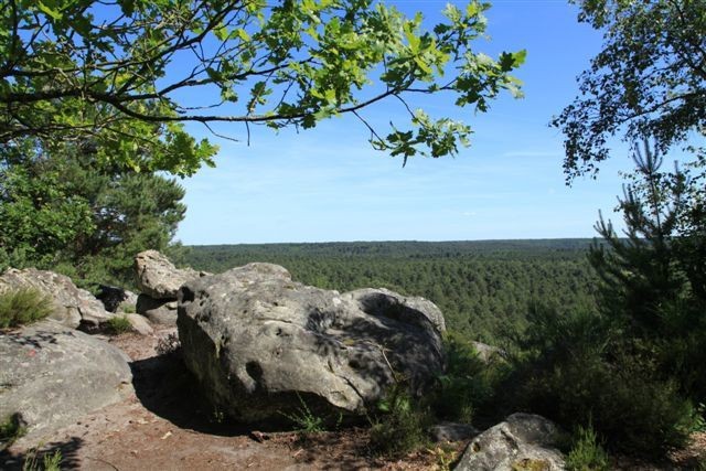 Marche en Forêt de fontainbleau de 18 km