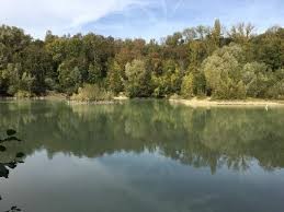 Rando 9km en forêt de Carnelle