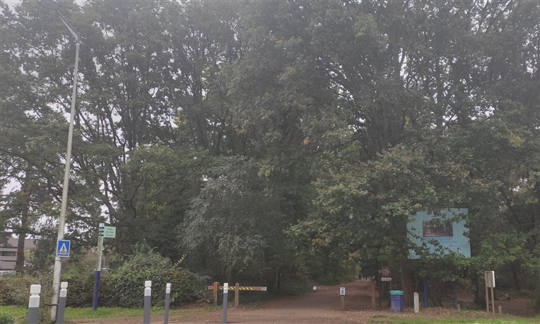 Balade en forêt