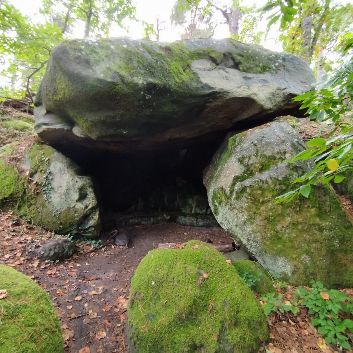 RANDO FORET DE FONTAINEBLEAU
