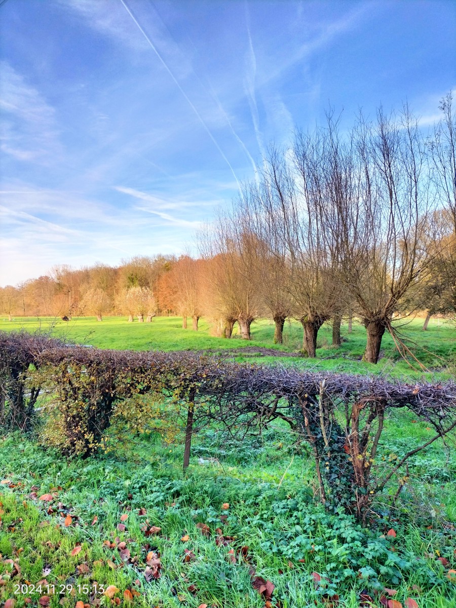 Marche à Villers Pol