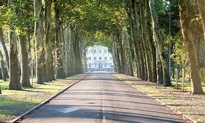 Soirée théâtre au profit d'une asso