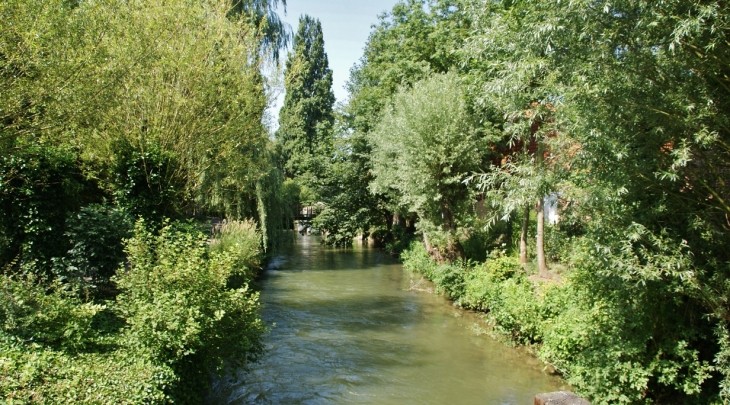 MARCHE 4 A 5 KMS
