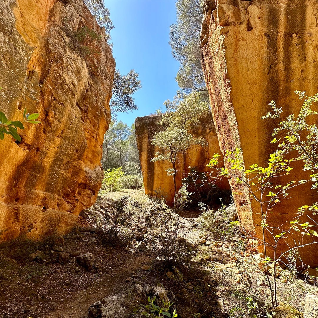 Escapade à Aix-en-Provence