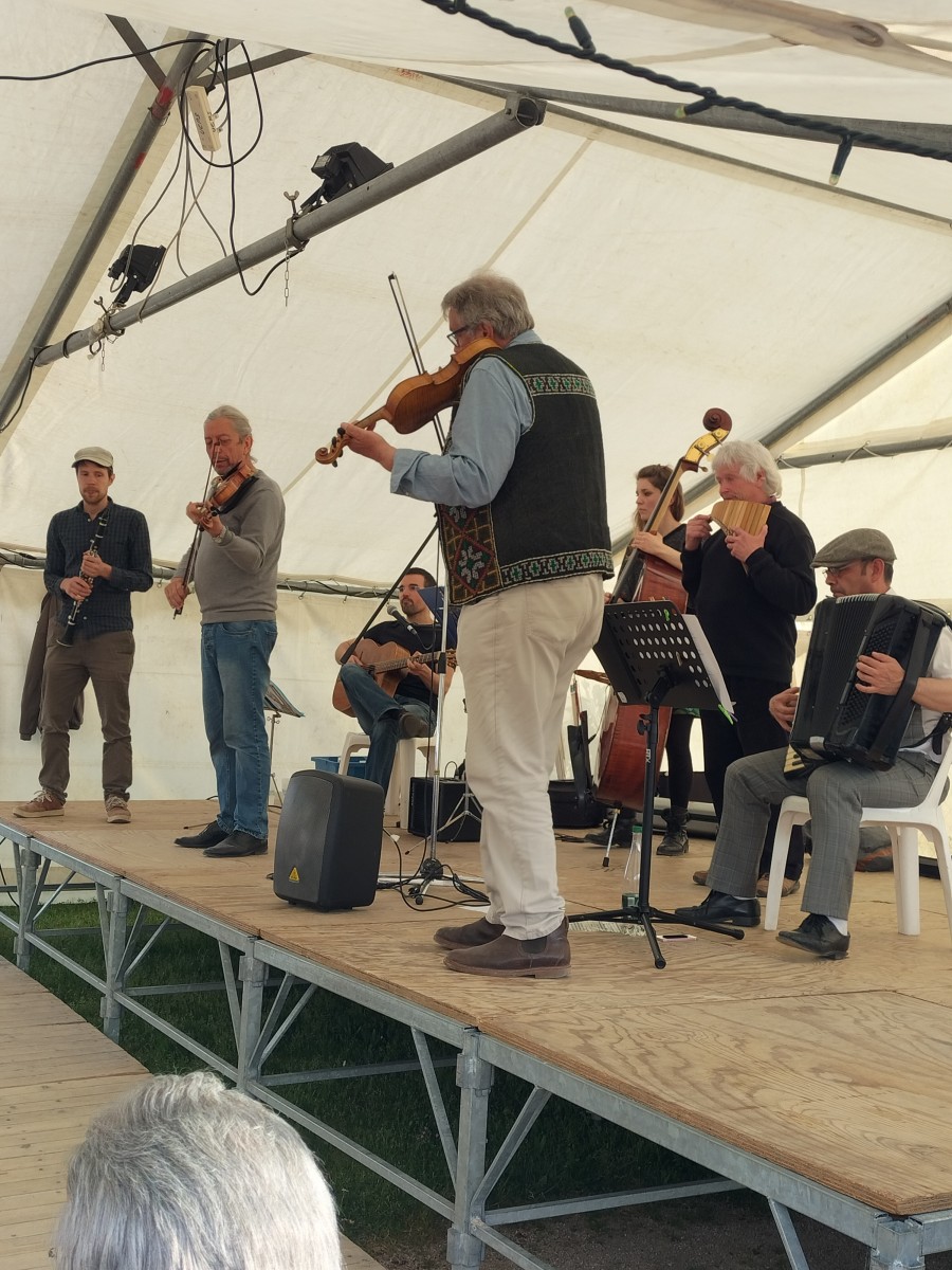 Concert du taraf istolei, musique tzigane