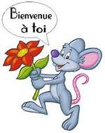 Découverte de l'AFS : Solos, vous avez dit Solo?