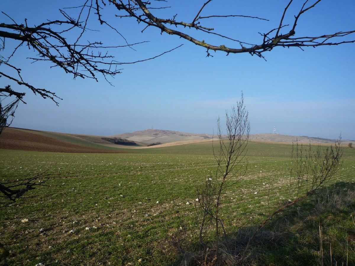 Randonnée : Les Hauts de Sangatte
