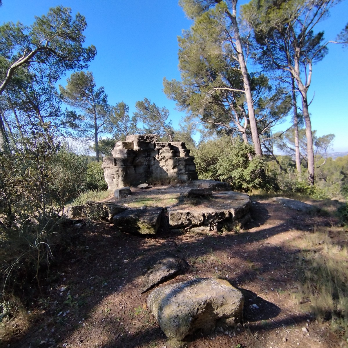 RANDO FONTAINEBLEAU